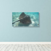 Toile MANTA RAY SUR CANVAS 20 "x 16" (Insitu (Plancher de Bois))