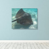 Toile MANTA RAY SUR CANVAS 20 "x 16" (Insitu (Plancher de Bois))
