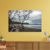 Toile Manzanillo (Insitu(Salon))