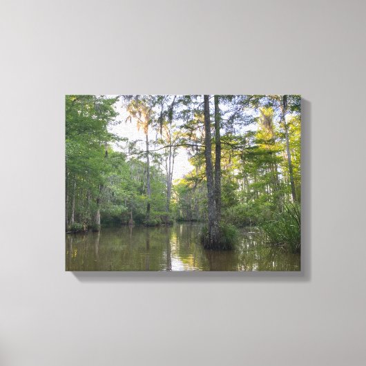 Toile Marais de Louisiane (Recto)