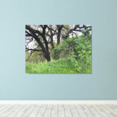 Toile Marche de Californie (Insitu (Plancher de Bois))