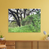 Toile Marche de Californie (Insitu(Salon))