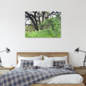 Toile Marche de Californie (Insitu(Chambre))