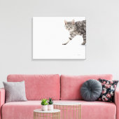 Toile Marche de chats (Insitu(Salon))