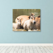 Toile Mare avec Foal Crossing a River (Insitu (Plancher de Bois))