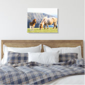 Toile Mare avec Foal, îles Shetland, Ecosse (Insitu(Chambre))