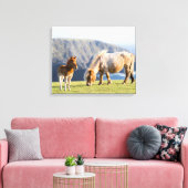 Toile Mare avec Foal, îles Shetland, Ecosse (Insitu(Salon))