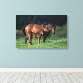Toile Mare et Foie de Thoroughbred 1 (Insitu (Plancher de Bois))