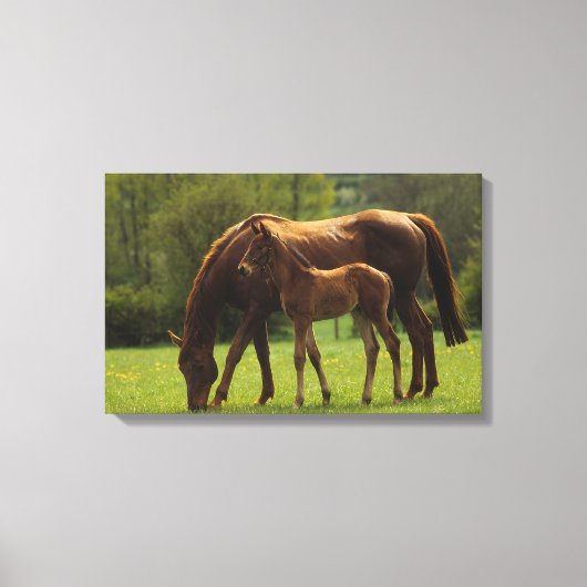 Toile Mare et Foie Thoroughbred 2 (Recto)