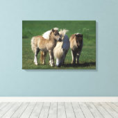 Toile Mare miniature et Foies 1 (Insitu (Plancher de Bois))