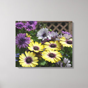 Toile Marguerite africaine jaune et violet