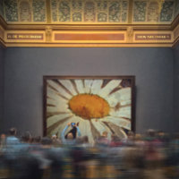 Marguerite Daisy avec Insectes ailées Art Floral