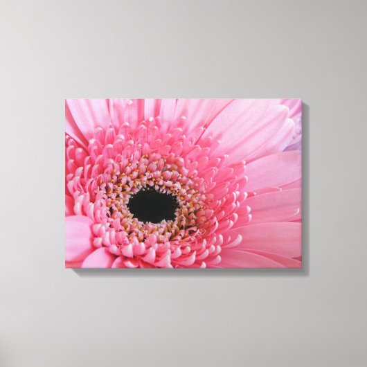 Toile Marguerite gerbera (Recto)