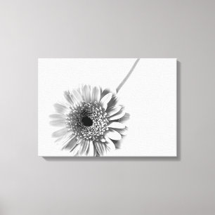 Toile Marguerite gerbera