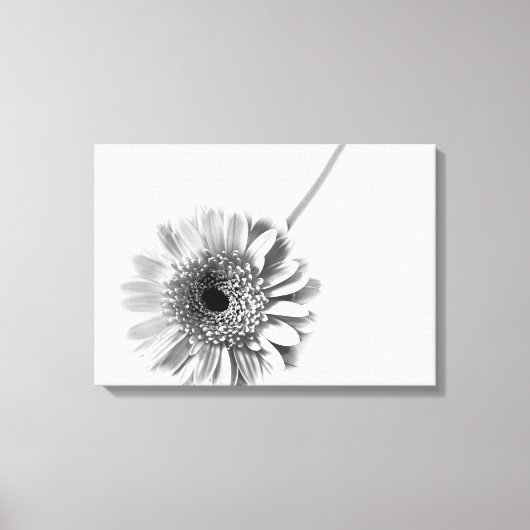 Toile Marguerite gerbera (Recto)