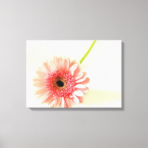 Toile Marguerite gerbera