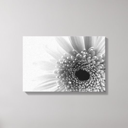 Toile Marguerite gerbera (Recto)