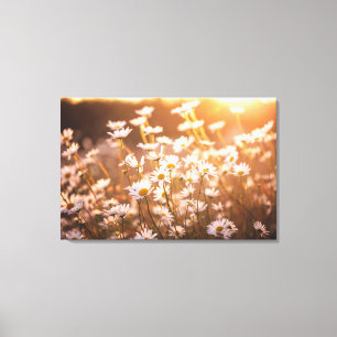 Toile Marguerites des prés de coucher du soleil