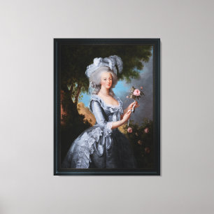 Toile Marie Antoinette Avec Un Rose