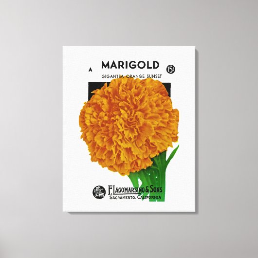 Toile Marigold Vintage Seed Packet (Recto)