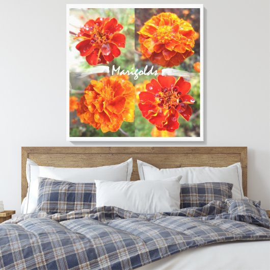 Toile Marigolds (Insitu(Chambre))