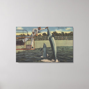 Toile Marineland, la Floride - vue des marsouins de