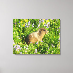 Toile Marmotte dans les fleurs sauvages du mont Rainier