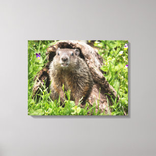 Toile Marmotte dans un tronc creux