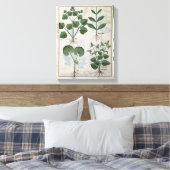 Toile Marshmallow & Hastula Regia Asarabacca & (Insitu(Chambre))