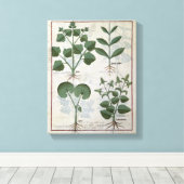 Toile Marshmallow & Hastula Regia Asarabacca & (Insitu (Plancher de Bois))