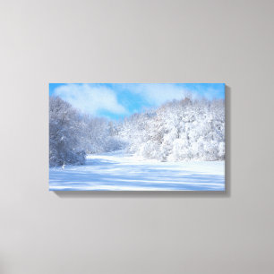 Toile Marthaler Park Snowy Hills