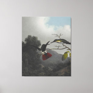 Toile MARTIN J. HEADE - Mango à gorge noire - 1863-64 -