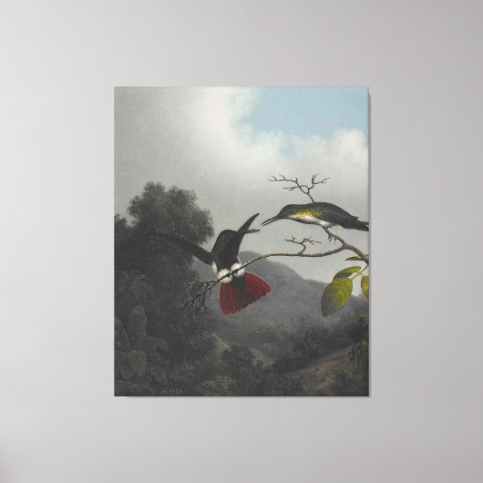 Toile MARTIN J. HEADE - Mango à gorge noire - 1863-64 - (Recto)