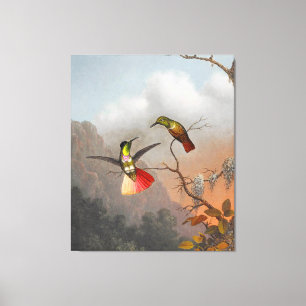 Toile MARTIN J. HEADE - Porteur à capuchon - 1863-64 -