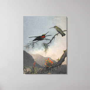 Toile MARTIN J. HEADE Starthroat à poitrine rayée (1864)