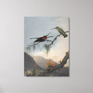 Toile MARTIN J. HEADE Starthroat à poitrine rayée (1864)