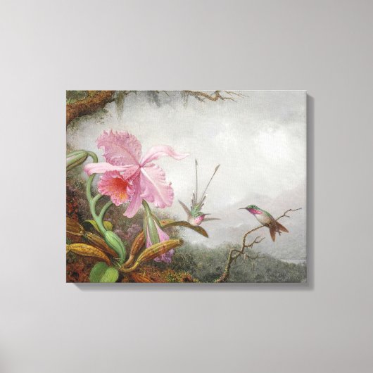Toile MARTIN JOHNSON HEADE - Colibris et orchidées - (Recto)