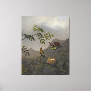 Toile MARTIN JOHNSON HEADE - Coquette pliée - 1863-64