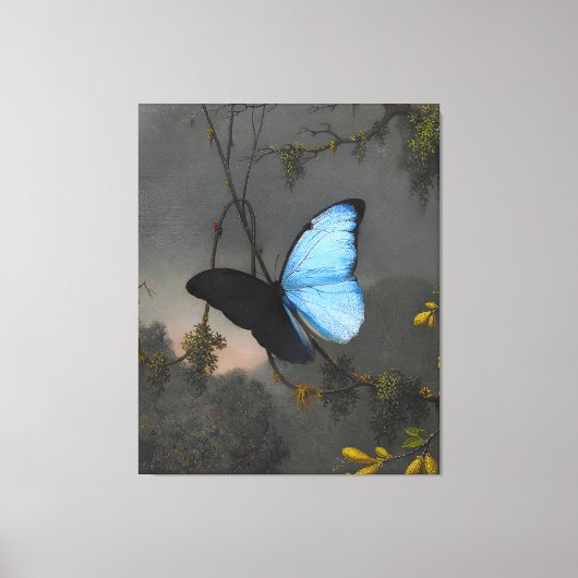 Toile MARTIN JOHNSON HEADE - Papillon bleu Morpho - (Recto)