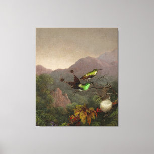 Toile MARTIN JOHNSON HEADE - Racket-Tail, Brésil - 1865