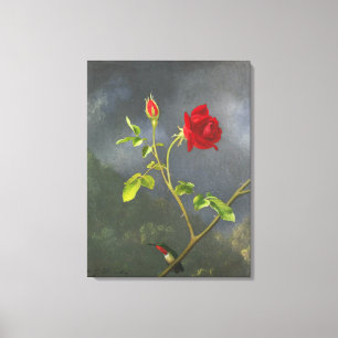 Toile MARTIN JOHNSON HEADE - Rose rouge avec gorge rubis