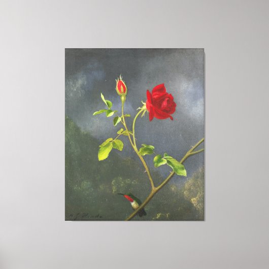 Toile MARTIN JOHNSON HEADE - Rose rouge avec gorge rubis (Recto)