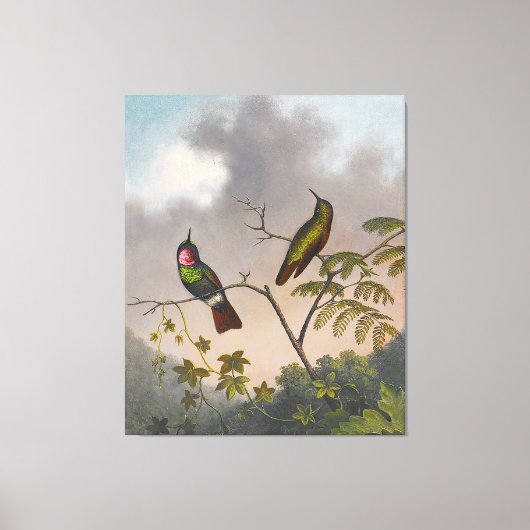Toile MARTIN JOHNSON HEADE - Ruby brésilien - c. 1863-64 (Recto)