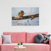 Toile martin pêcheur (Insitu(Salon))