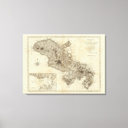 Toile Martinico (Recto)