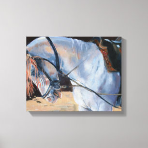 Toile Marwari Horse Rajasthan 2010