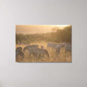 Toile Masai Morning Zebras Enveloppé