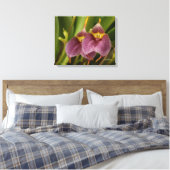 Toile Masdevallia (Insitu(Chambre))