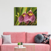 Toile Masdevallia (Insitu(Salon))