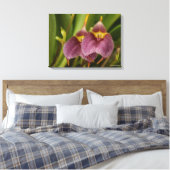 Toile Masdevallia (Insitu(Chambre))